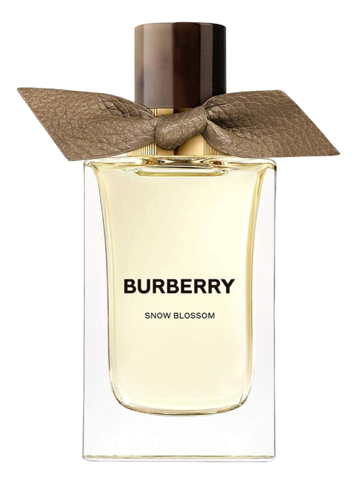 Burberry winter perfume on sale