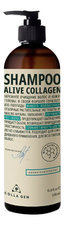 COLLA GEN Шампунь для ежедневного применения с живым коллагеном Alive Collagen Shampoo 500мл