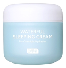 Jaminkyung Увлажняющий ночной крем для лица против морщин Crema Caracol Waterful Sleeping Cream 60мл