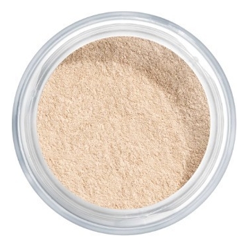 Рассыпчатая фиксирующая пудра Translucent Loose Powder 8г: 02 Light
