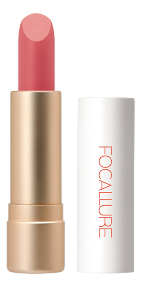 Помада для губ Staymax Powder Matte Lipstick 3г: 04 Naadam