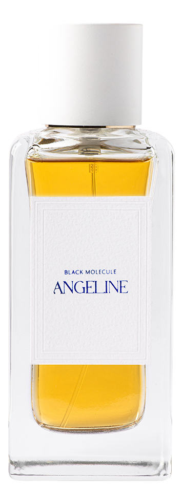 Духи Black Molecule Angeline | Купить парфюм Анжелин Блэк Молекула на ...
