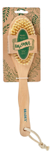 Bradex Щетка для сухого массажа из чайного дерева с щетиной кактуса с ручкой KZ 1064 30см