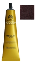 EVOQUE Professional Крем-краска для волос без аммиака Non Ammonia Hair Color Cream 100мл