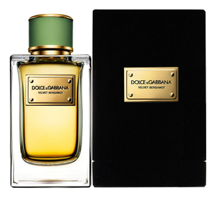 Velvet bergamot by shop dolce & gabbana