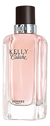 Hermes Kelly Caleche