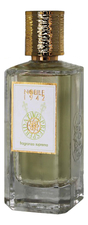 Nobile 1942 Vespriesperidati Gold for Women