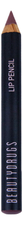Beautydrugs Карандаш для губ Lip Gloss Pencil 5г
