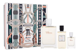 Terre D'Hermes pour homme