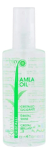 RAYWELL Флюид для придания блеска волосам Bio Amla oil 100мл