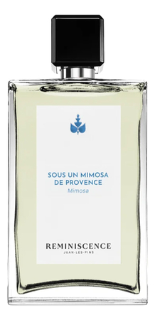 Reminiscence Sous Un Mimosa De Provence