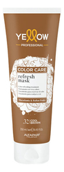 Пигментированная маска для волос Color Care Refresh Masks 250мл