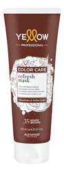 Пигментированная маска для волос Color Care Refresh Masks 250мл