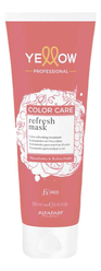 Пигментированная маска для волос Color Care Refresh Masks 250мл