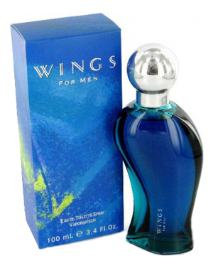 

Wings For Men: туалетная вода 100мл, Wings For Men