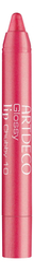 Блеск для губ в стике Glossy Lip Chubby 1,8г