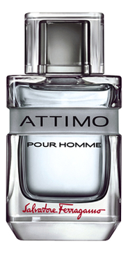 

Attimo Pour Homme: туалетная вода 40мл тестер, Attimo Pour Homme