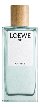 Loewe Aire Anthesis