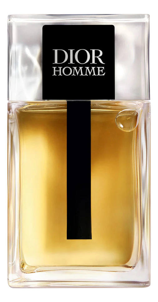 Christian Dior Homme 2025