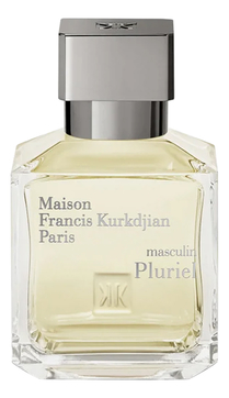 Pluriel Masculin