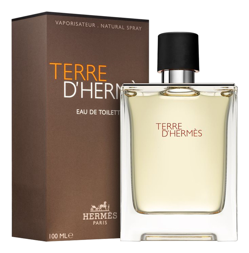 Terre D'Hermes pour homme: туалетная вода 100мл