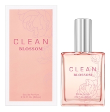 Clean  Blossom