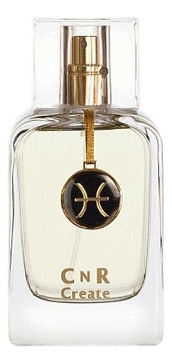 

CnR Create Pisces Pour Homme: туалетная вода 100мл тестер, CnR Create Pisces Pour Homme
