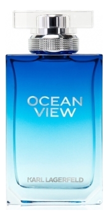 Ocean View Pour Homme: туалетная вода 100мл уценка