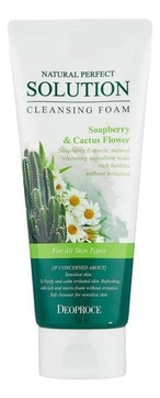 Пенка для умывания с экстрактом кактуса Natural Perfect Solution Cleansing Foam SoapBerry & Cactus Flower 170г